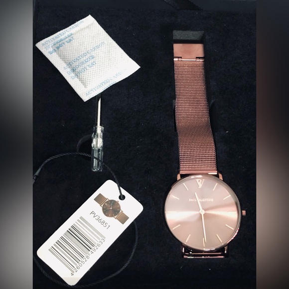 NWT PAUL VALENTINE COFFEE MESH CHAMPAGNE LUXURY ROUND WRIST WATCH - Picture 5 of 6